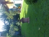 15-09-2011-006