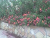 dsc00014