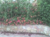 dsc00015