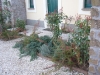 p1020477
