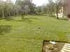 velletri-via-caranella-006