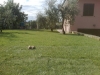 velletri-via-caranella-007