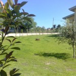semina prato bracciano