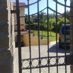 tappeto erboso bracciano